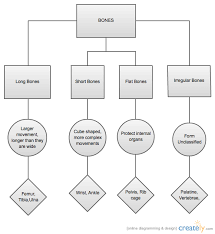 53 Perspicuous Muscle Movement Chart