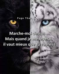 Visitez Notre Boutique D Art Livraison Rapide Et Gratuite Citation Les Beaux Proverbes Les Plus Beaux Proverbes