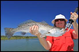 north florida fish species st augustine fl inshore