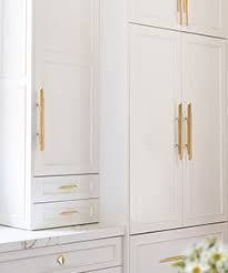 Modern kitchen cabinets might be the style that you are looking for. Pullcast Inspirations