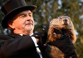 Regardless of whether it's a decomposing rodent or larger animal like a raccoon, the dead animal smell will fill the air with a lingering odor of putridness. How To Get Rid Of Groundhogs Fast So They Don T Destroy Your Yard