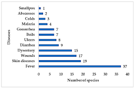 Photo contributed by sagiiel kosongopatgeunep. Biomolecules Free Full Text Vascular Epiphytic Medicinal Plants As Sources Of Therapeutic Agents Their Ethnopharmacological Uses Chemical Composition And Biological Activities Html