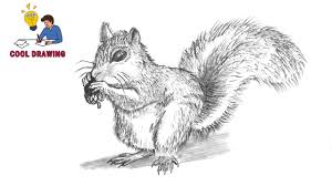 We did not find results for: Draw Squirrel Cool Drawing Idea