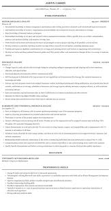 Insurance Analyst Resume Sample Mintresume