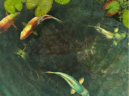 Gambar wallpaper binatang bergerak kumpulan wallpaper. Gambar Ikan Koi Animasi Bergerak Lucu Fish Wallpaper Hd Image Gif Gif Image 640 480 Pixels Scaled 70 Koi Fish Fish Wallpaper Fish Screensaver