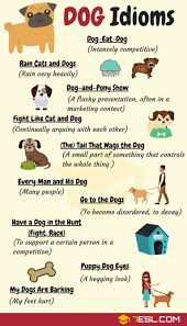Dog Idioms 16 Useful Dog Idioms And Sayings 7 E S L English Idioms Idioms Learn English Vocabulary