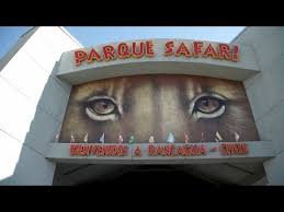 Our porno collection is huge and it's constantly growing. Parque Safari Una Increible Expedicion En Rancagua Hayqueir Youtube