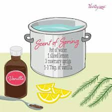 Rid toxic chemicals & smells naturally without scents. Make Your House Smell Good Bring To Boil And Then Let It Simmer House Smells Cleaning Hacks Home Scents