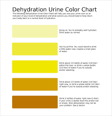 Free 7 Sample Urine Color Chart Templates In Pdf