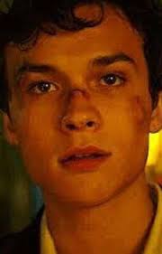 Mattheoxreader Stories