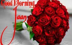 Good Morning Janu Images Hd 4 Good Morning Janu Morning Images Good Morning Images Good morning image with shayari is a great way to send to your dearest and nearest on the morning. good morning janu images hd 4 good