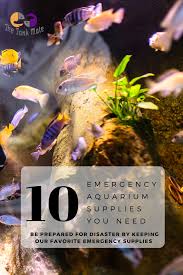 Emergency Fish Supplies List 10 Items For Your Aquarium To Always Keep On Hand We Dig Into All Of The Ite Fish Supplies Freshwater Aquarium Aquarium Supplies