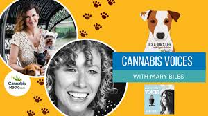 Cannabis Voices with Mary Biles