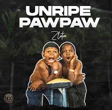 Music Zlatan Unripe Pawpaw Mp3 Download 2c Music Studio 2c Music Studio