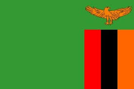 Free shipping on orders over $25 shipped by amazon. Amazon Com Zambia Flag 5 X3