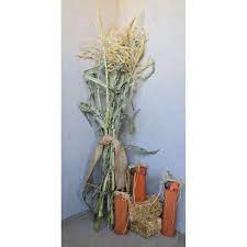 Maybe you would like to learn more about one of these? Dried Corn Stalks For Sale Dried Corn Bundles