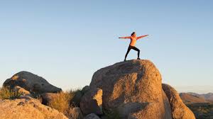 Image result for Phoenix