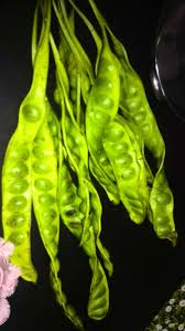 Tumis bawang putih yang sudah di cincang halus. Namakucella Buat Jeruk Petai