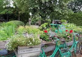 Pluktuin Ijzendoorn Omgeving Echteld Pluktuinen Midden Nederland Fruittuin Tuin Net Planten