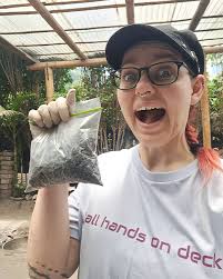 🕷️ Die giftigste Spinne der Welt besteht aus drei Arten! Die  Sydney-Trichternetzspinne (Atrax robustus) zählt zu den giftigsten Spinnen  der Welt