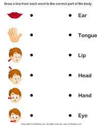 More images for body parts worksheet for nursery » Year 1 Worksheet On Body Parts Online Nursery Help Facebook