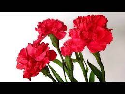 Abc Tv How To Make Carnation Paper Flower With Shape Punch Craft Tutorial Youtube In 2021 Paper Flowers How To Make Paper Flowers Carnations