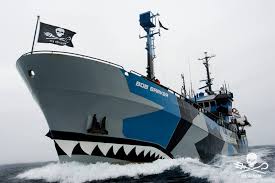 Mv Bob Barker Seashepherd Ship Vessel Neptunesnavy Sea Shepherd Ocean Fleet Of Ships