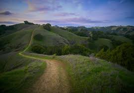 Numerous birds, animals, and plant species live in the area. Rolling Hills At Dusk In Briones Regional Park Ca Hiking