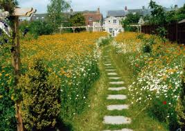 Bath Garden Design Wildflower Garden Wild Flower Meadow Dream Garden
