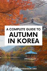 Autumn In Korea 2020 Forecast Food Festivals And More Autumn In Korea Asia Travel South Korea Travel