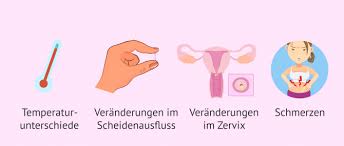 Die länge kann zwischen 12 und 16 tagen schwanken. Der Eisprung Ovulation Definition Zeitpunkt Und Symptome