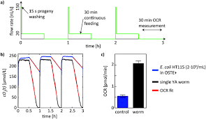 With over 21 million homework solutions, you can also search our library to find similar homework problems & solutions. Microfluidic System For Caenorhabditis Elegans Culture And Oxygen Consumption Rate Measurements Lab On A Chip Rsc Publishing