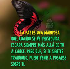 Pin On Rincon Del Alma