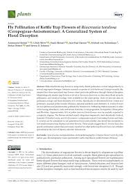 Image result for Riocreuxia chrysochroma