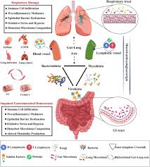 Gut–X axis - Lin - 2025 - iMeta - Wiley Online Library