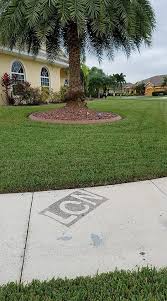 Welcome to the official site of allyn hane, the lawn care nut from youtube. Lawn Looks Really Good On The Lawn Care Nut Allyn Hane Facebook