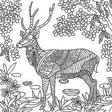 Reindeer mandala christmas coloring pages. Pin On Cricut Projects