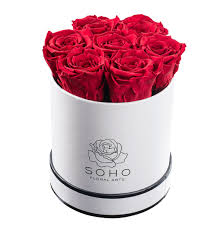 We did not find results for: Amazon Com Soho Floral Arts Real Roses That Last A Year And More Fresh Flowers Eternal Roses In A Box Red 7 X Large Roses Home Kitchen