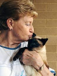 It's showtime: felines in Forestville