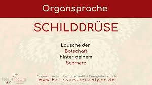 Organsprache Schilddruse C Stubiger Heilpraktikerin Munchen Starnberg