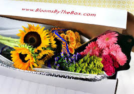 Other floral sites ship your bouquet in a box and leave it for your recipient to trim and arrange. Concerns Ordering Wholesale Flowers Online Blooms By The Box