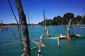 Une magnifique base nautique pour les sports de voile avec des infrastructures qui permettent d'accueillir des jeunes en séjour ludiques et grâce aux vents qui soufflent en ces lieux, la ganguise est devenue un véritable paradis pour les amateurs. Decouvrir La Ganguise Ce Lac Repute Pour Ses Carpes Et Carnassiers