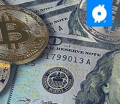 The 3commas bitcoin calculator allows you to easily calculate the conversion price of btc to usd by simply entering the amount of bitcoin in the corresponding field and will automatically convert the value in us dollar (usd). Btc To Dollar Www Docteursamama Com