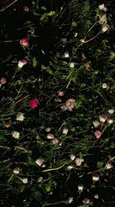 Blooming flowers top photos flowers gif gif animé animated gif happy earth spring nature animation tribal fusion. Happy Flowers Gif Blooming Flowers Discover Share Gifs Flowers Gif Beautiful Photos Of Nature Flower Pictures