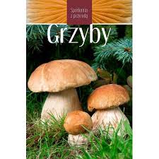 Grzyby mogą zostać wydobyte natychmiastowo, bez pomocy żadnego narzędzia. Spotkania Z Przyroda Grzyby Marek Snowarski Ksiazka W Ksiegarni Taniaksiazka Pl