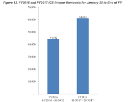 ice removals under trump vs obama