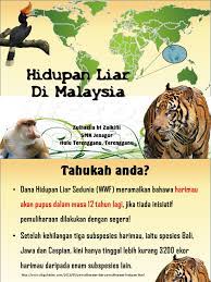 5.1 hidupan liar di malaysia. Hidupan Liar Di Malaysia Zulhazlia Bt Zulkifli Smk Jenagor Hulu Terengganu Terengganu