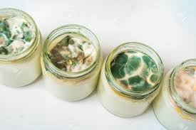 Alibaba.com offers 2,452 glass yogurt container products. Yogurt With Mold In Glass Container In Dairy Food Laboratory Stock Photo Picture And Royalty Free Image Image 94390750