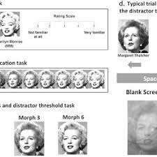 The morphed faces discrimination task. (a) Presents the unmorphed faces... 