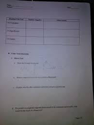 A reagent that is used contains glyoxylic acid. Solved Name Partner Date Hopkins Cole Test Positive Nez Chegg Com